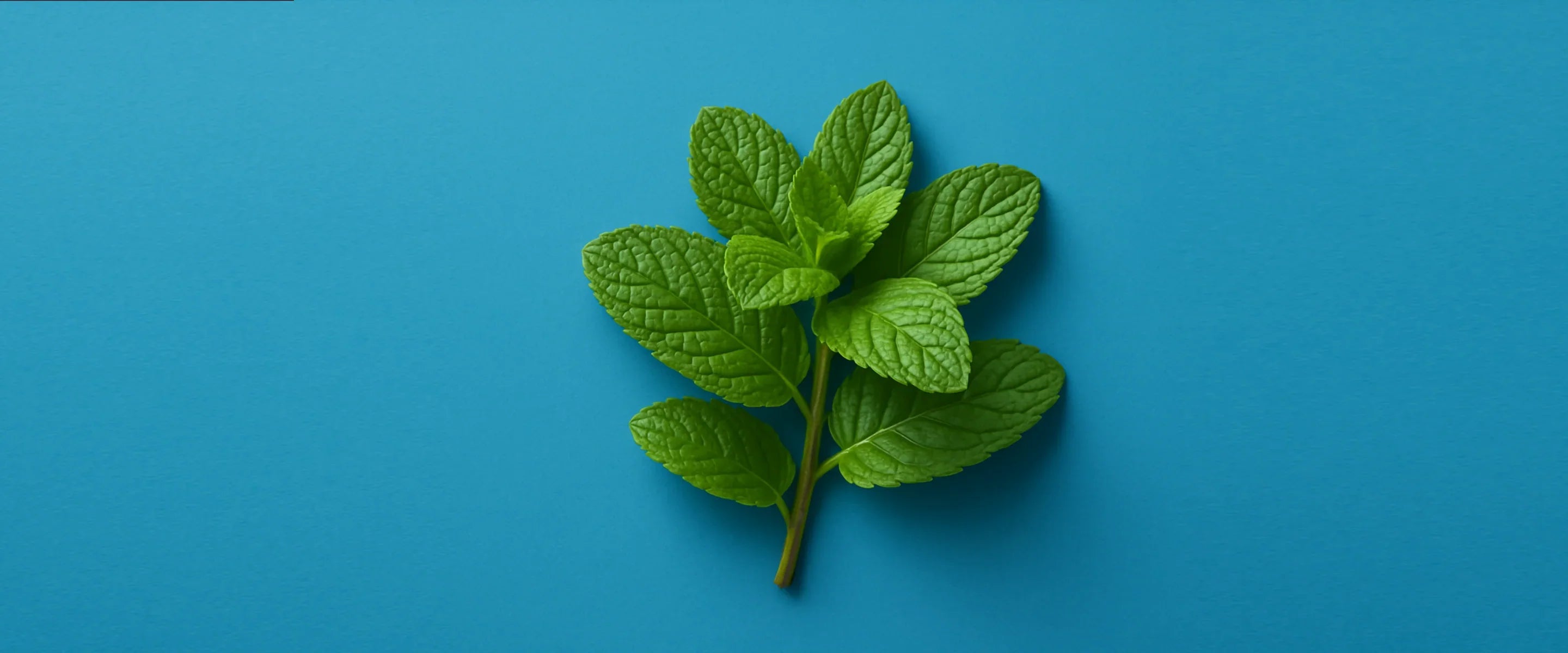 Peppermint Power: Why We Use Natural Peppermint Extract in Waken Oral Care